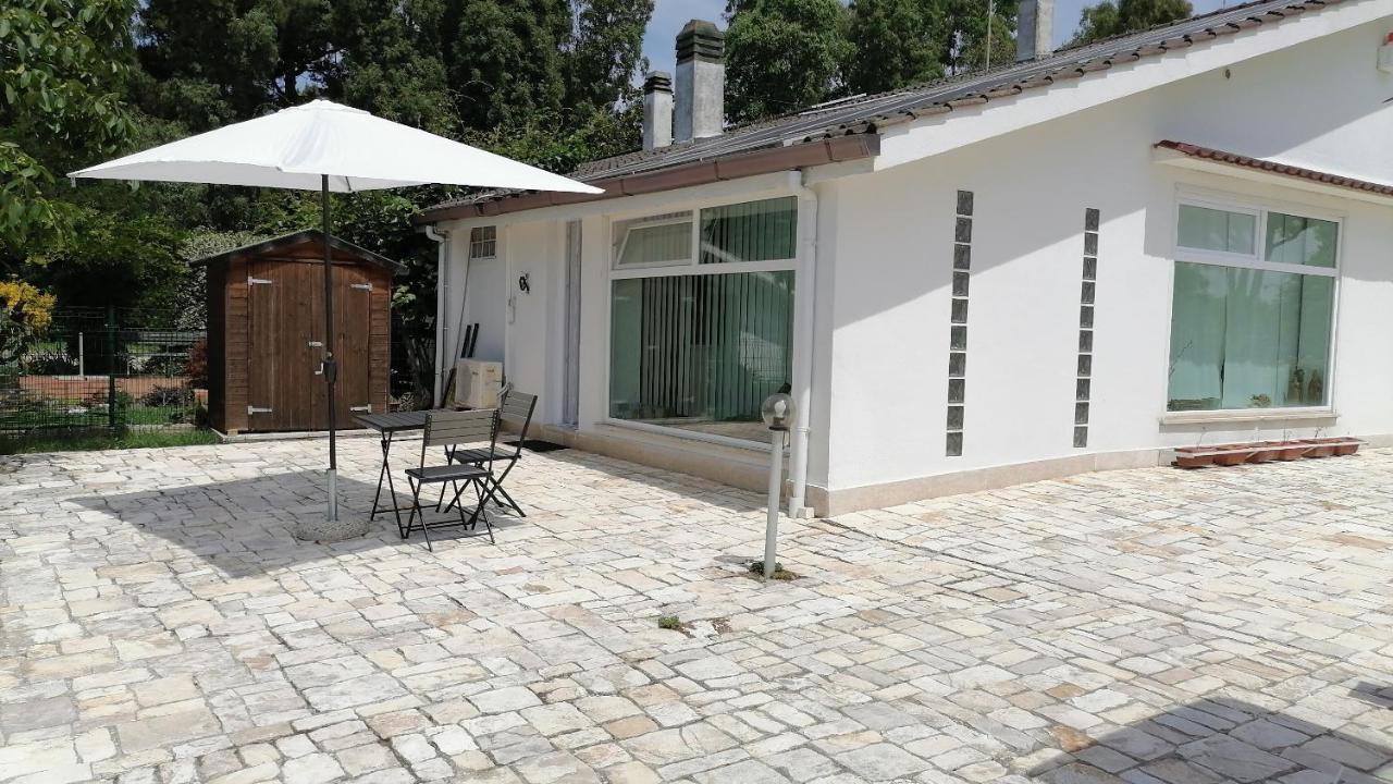 Delizioso Open Space Da Letizia Pomezia Ngoại thất bức ảnh